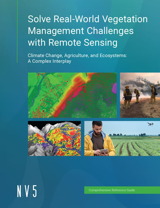 Solve Real-World Vegetation Management Challenges with Remote Sensing